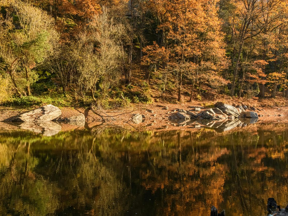 Fall River, Halifax